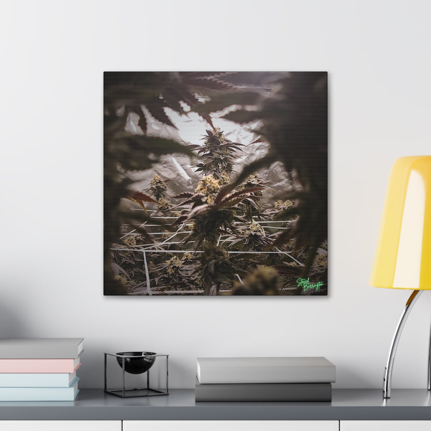 Cannabis tunnel vision canvas print