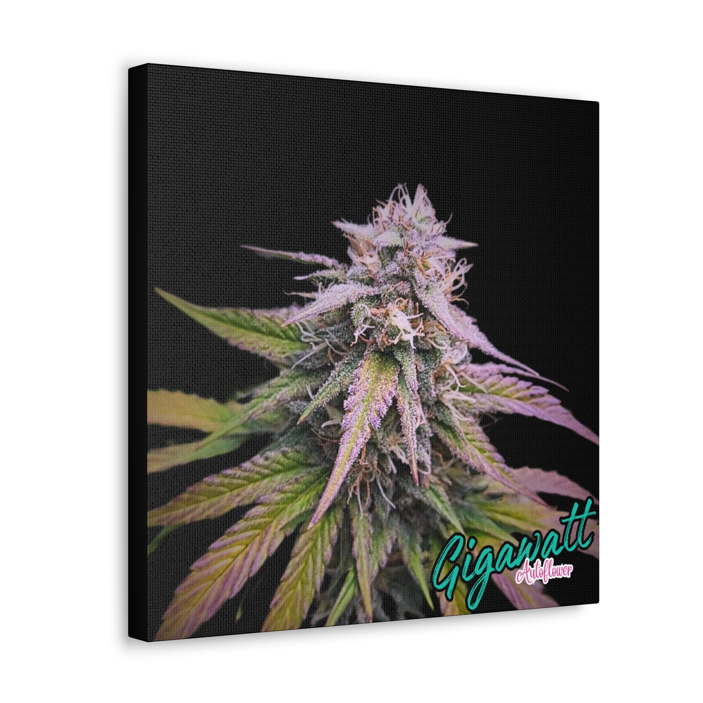 Gigawatt Autoflower canvas print