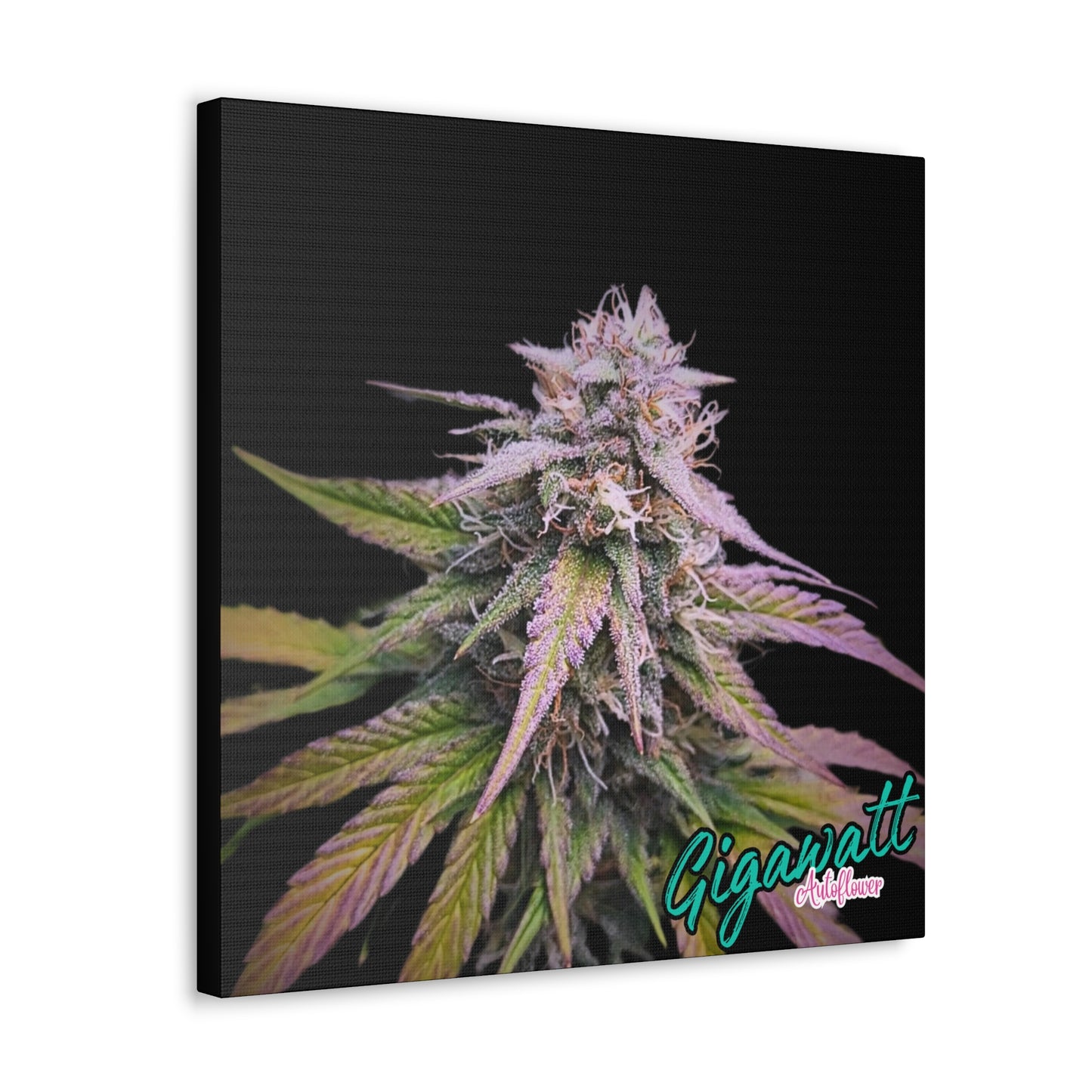 Gigawatt Autoflower canvas print