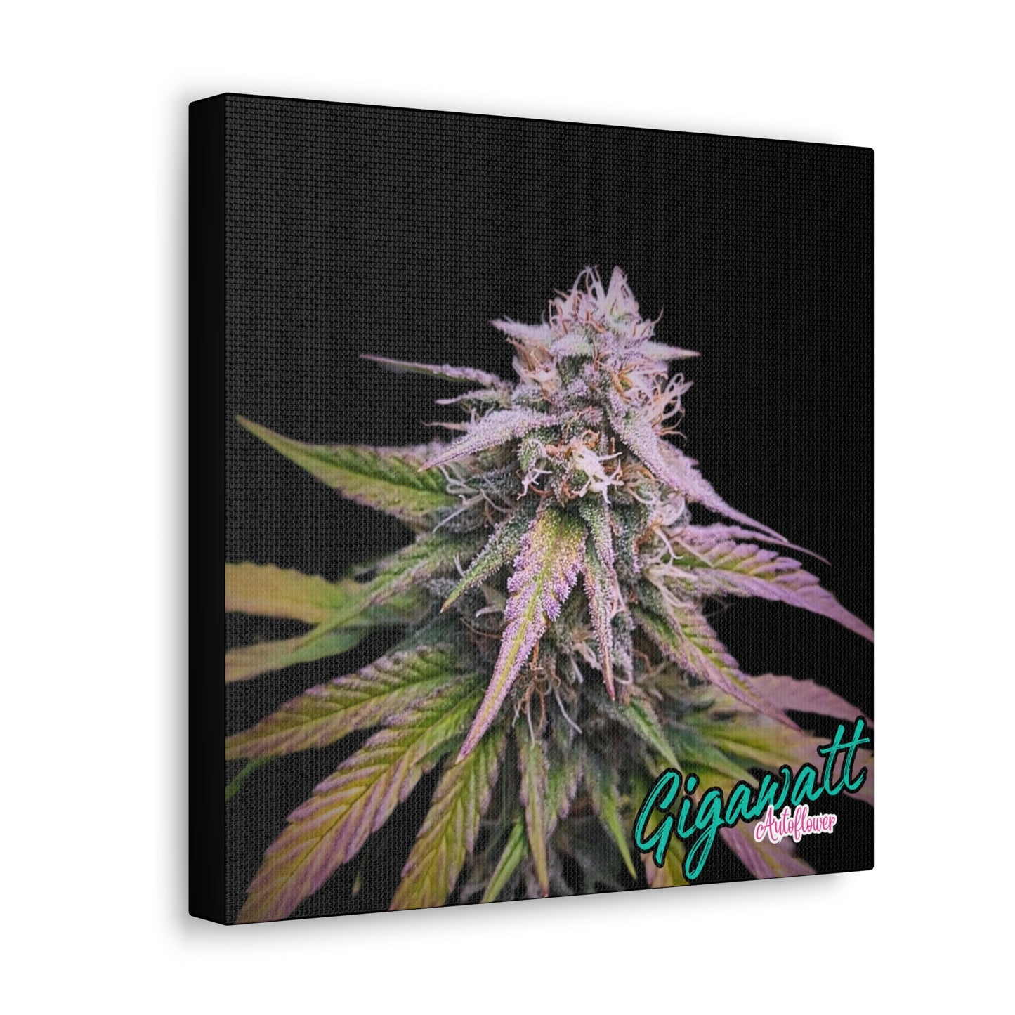 Gigawatt Autoflower canvas print